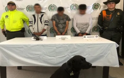 ‘Kaby’, el perro policía que es el terror de los delincuentes en Pitalito