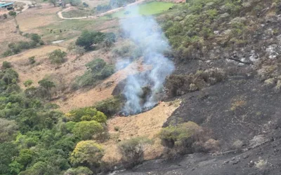 Alerta en Yaguará, Huila, por incendios forestales