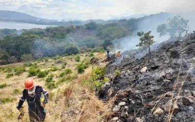 Controlan incendio que dejó aproximadamente 700 hectáreas quemadas en Yaguará-Huila