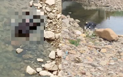 Encuentran cuerpo de un joven en el puente del Río Arenoso
