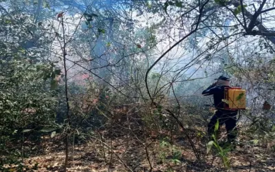 Incendio consumió 400 metros cuadrados de vegetación en el sur de Neiva
