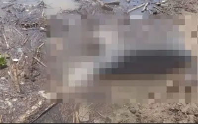 Cuerpo en descomposición fue encontrado en el Río Magdalena en El Agrado, Huila