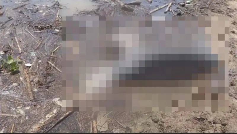 Cuerpo en descomposición fue encontrado en el Río Magdalena en El Agrado, Huila