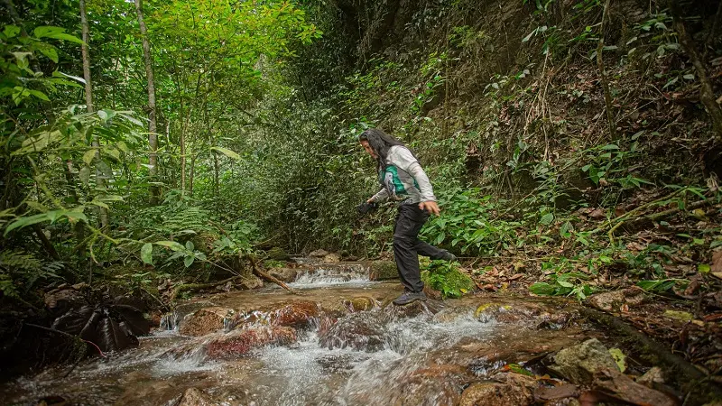 Monitoreo en el Corredor Andino Amazónico del Huila