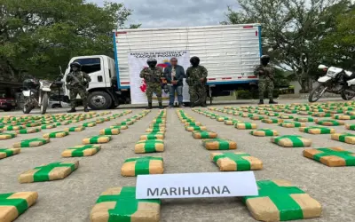 Incautados 290 kilos de marihuana de la estructura ‘Dagoberto Ramos’ en Huila