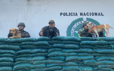 Policías en Vegalarga adoptaron tres perros criollos