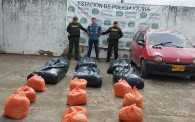 Golpe a la Narcotráfico en Íquira: capturado hombre con 176 kilos de marihuana