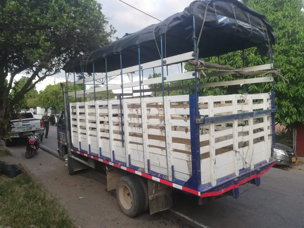 Fue capturada pareja en flagrancia intentando hurtar cinco caballos en La Plata, Huila | Noticias de Buenaventura, Colombia y el Mundo