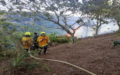 Temporada seca en el Huila: 110 incendios se han presentado