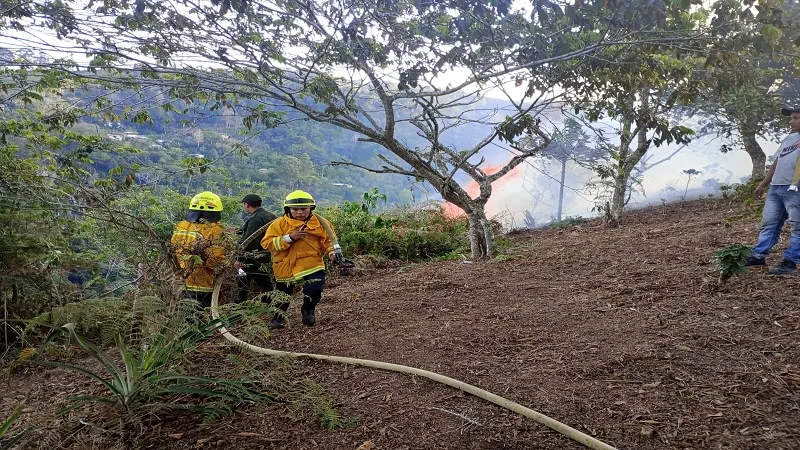 Temporada seca en el Huila: 110 incendios se han presentado