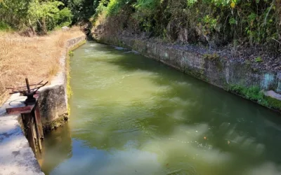 ¿A qué se deben los bajos niveles del río Fortalecillas?
