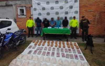 Desarticulada banda de tráfico de cocaína en Pitalito