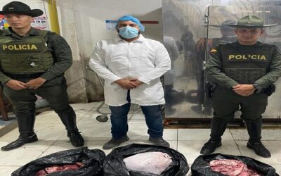 Incautados 125 kilos de carne por irregularidades en la cadena de frío en Neiva
