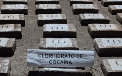 Incautados 316 kilos de cocaína tras operativo en Nátaga, Huila