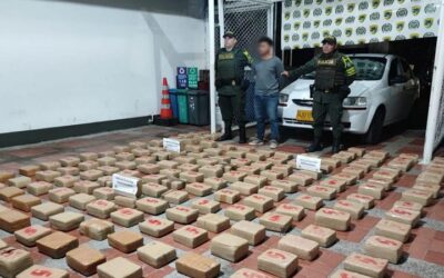Golpe al narcotráfico: incautados 344 kilos de marihuana en Paicol, Huila