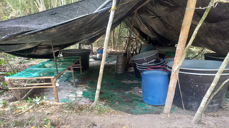 Another clandestine drug laboratory dismantled in Huila