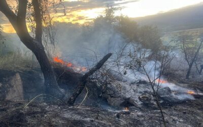 Incendios han afectado 140 hectáreas en Huila