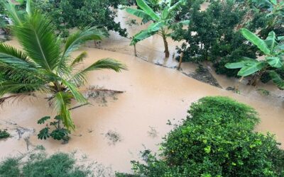 Emergencias provocadas por intensas lluvias en el sur del Huila