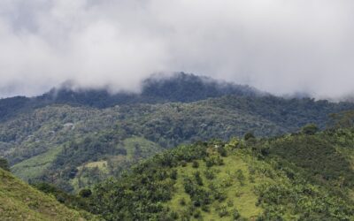 Lluvias están por debajo de los promedios históricos