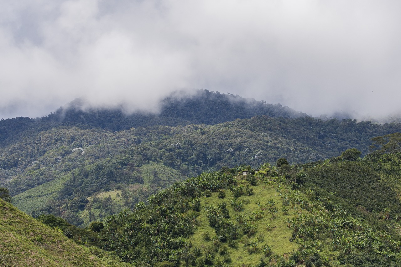 Lluvias están por debajo de los promedios históricos