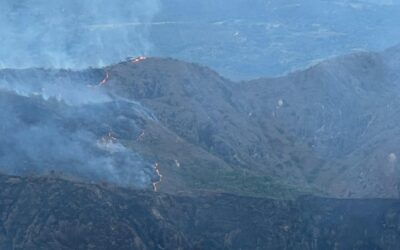 Incendios forestales y emergencias afectan varios municipios del Huila