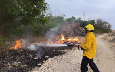 Incendios forestales activos en varias zonas del departamento