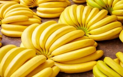 Frutas colombianas siguen conquistando mercados internacionales