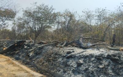 Tres incendios forestales siguen activos en el Huila