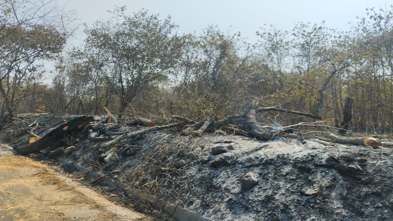 Tres incendios forestales siguen activos en el Huila