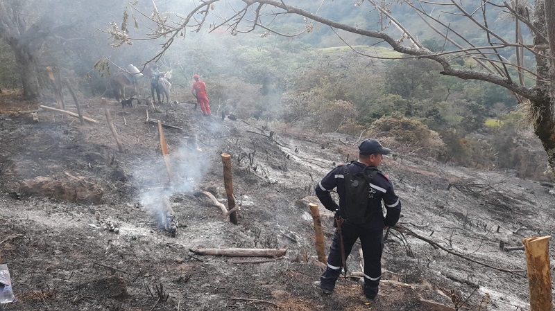 Prohíben quemas abiertas en el Huila ante aumento de incendios