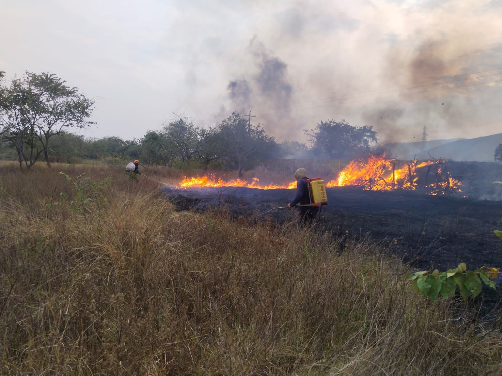 Continúa la emergencia por incendios en el Huila