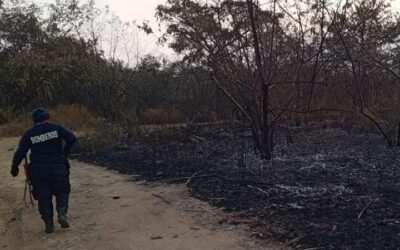 Huila en alerta roja por incendios forestales