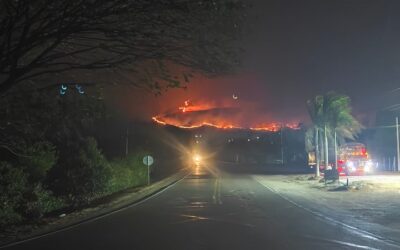 Palermo sigue esperando apoyo helicoportado para combatir los incendios forestales