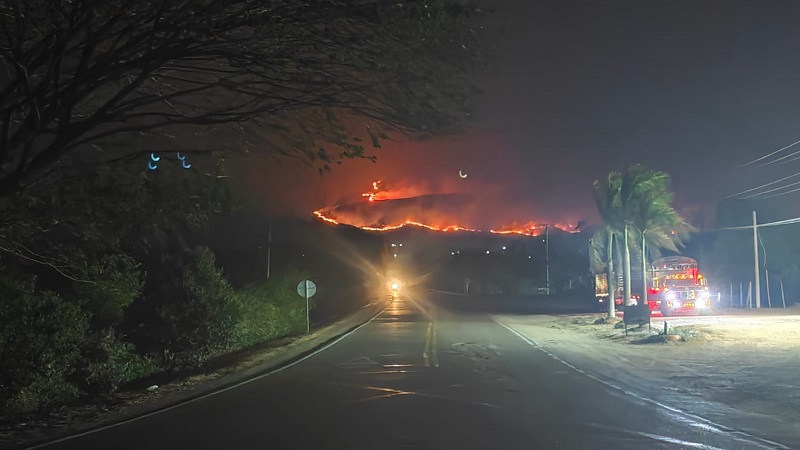 Palermo sigue esperando apoyo helicoportado para combatir los incendios forestales