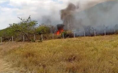 Cinco incendios activos en el Huila: continúa la emergencia en Palermo