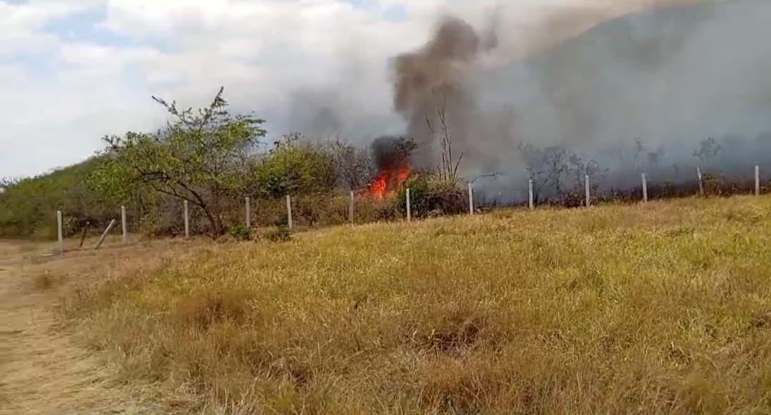 Cinco incendios activos en el Huila: continúa la emergencia en Palermo