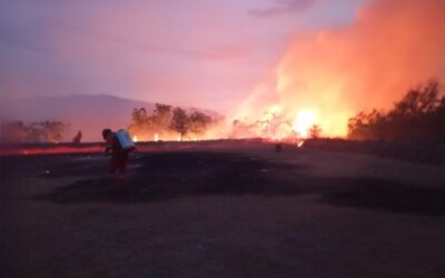 Fue declarado estado de calamidad pública por incendios forestales en el Huila