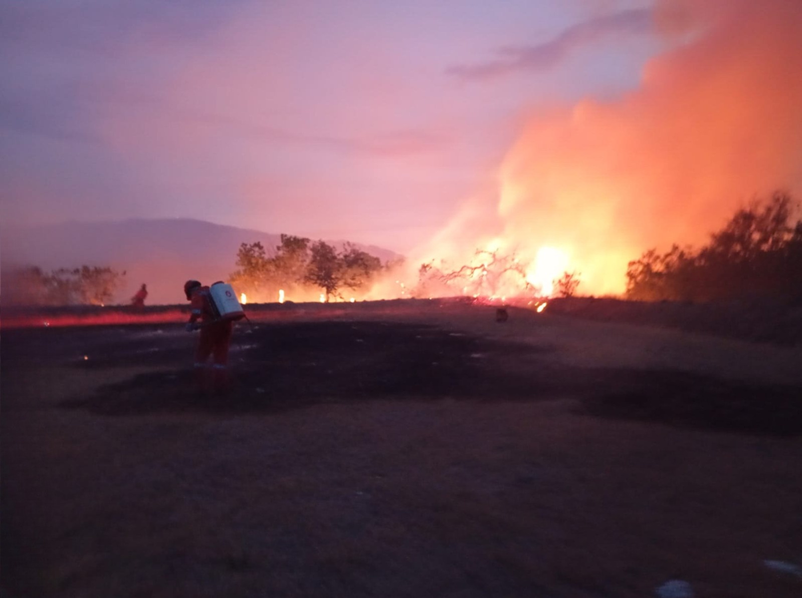 Fue declarado estado de calamidad pública por incendios forestales en el Huila