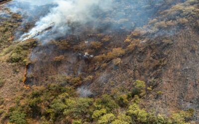 Sobrevuelo de evaluación de incendios forestales en Huila