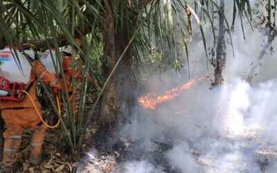 Así está el panorama de los incendios en el Huila