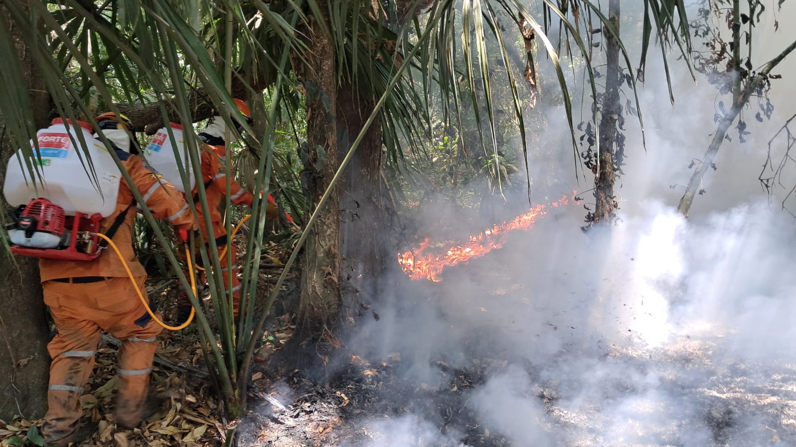 Así está el panorama de los incendios en el Huila