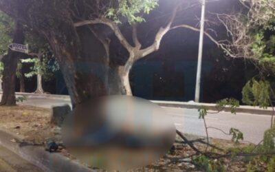 Un hombre murió tras caer de un árbol en Neiva