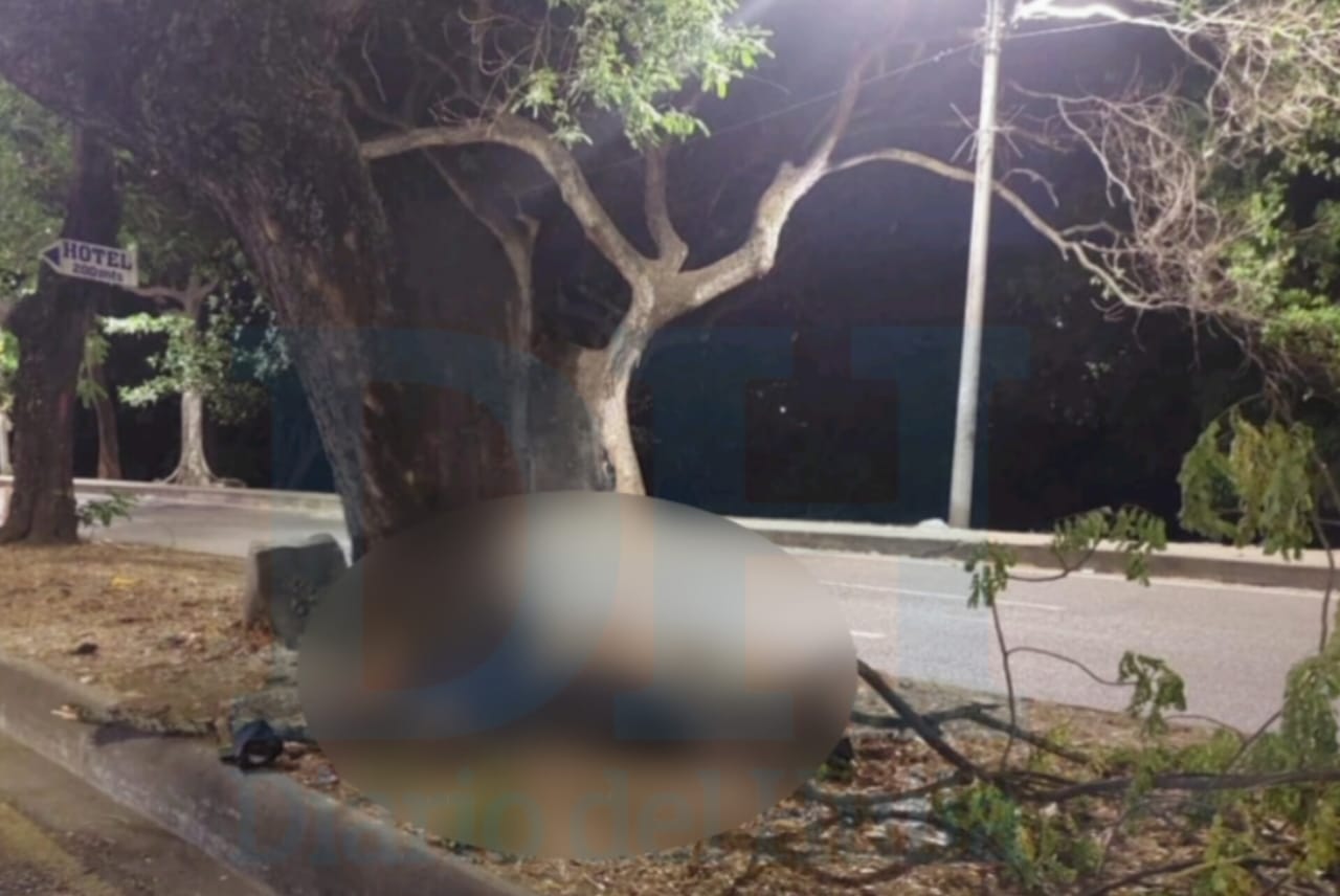 Un hombre murió tras caer de un árbol en Neiva