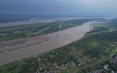 ¡La Amazonía, pulmón del mundo está en riesgo!