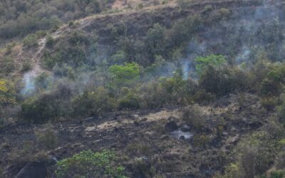 Incendio en Aipe sigue activo: 2.819 hectáreas han sido afectadas