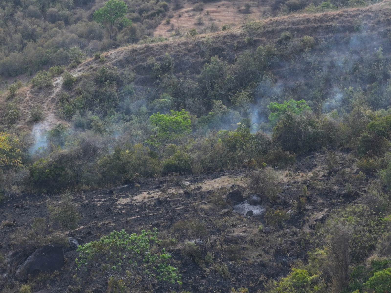 Incendio en Aipe sigue activo: 2.819 hectáreas han sido afectadas