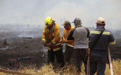 Incendios forestales en Colombia por fenómeno de El Niño