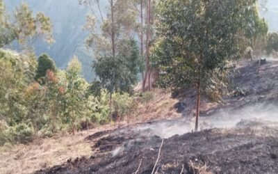 Controlados incendios de gran magnitud en Huila