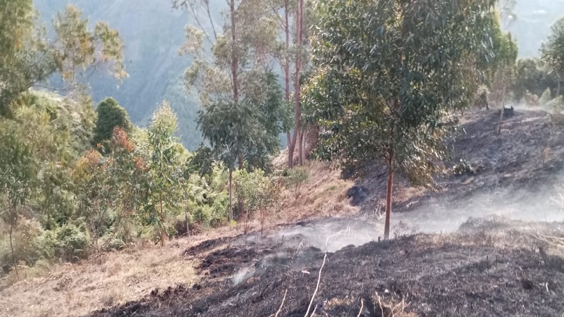 Controlados incendios de gran magnitud en Huila