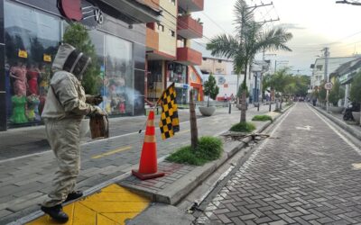 Ataque de abejas en el centro de Neiva dejó seis personas afectadas